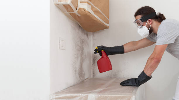 Professional Bathroom Mold Removal technician working in South Haven, MI